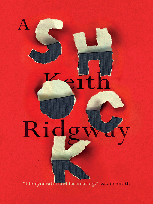 Title details for A Shock by Keith Ridgway - Wait list